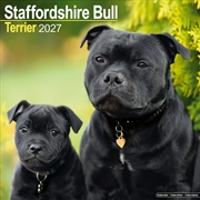 Buy Staffordshire Bull Terrier Wall Calendar 2027