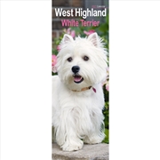 Buy West Highland White Terrier Slim Calendar 2027