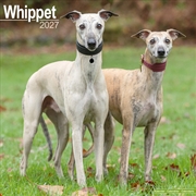 Buy Whippet Wall Calendar 2027