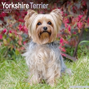 Buy Yorkshire Terrier Wall Calendar 2027
