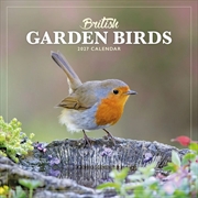 Buy British Garden Birds Mini Calendar 2027