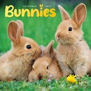 Buy Bunnies Mini Calendar 2027