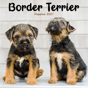 Buy Border Terrier Puppies Mini Calendar 2027