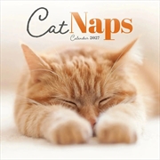 Buy Cat Naps Mini Calendar 2027