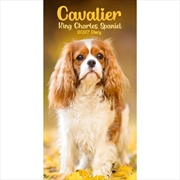 Buy Cavalier King Charles Spaniel Slim Diary 2027