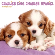 Buy Cavalier King Charles Spaniel Puppies Mini Calendar 2027