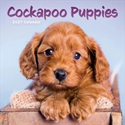 Buy Cockapoo Puppies Mini Calendar 2027