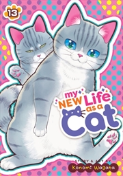 Buy My New Life as a Cat Vol. 13