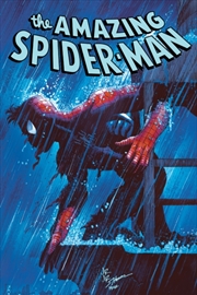 Buy Amazing Spider-Man By Zeb Wells Omnibus Vol. 2