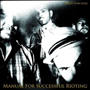 Buy Manual For Successful Rioting