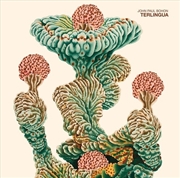 Buy Terlingua
