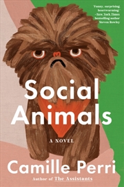 Buy Social Animals