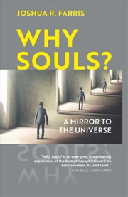 Buy Why Souls? : A Mirror to the Universe