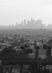 Buy City Terrace Field Manual