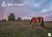 Buy New Forest A4 Calendar