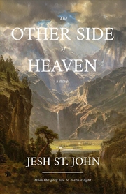 Buy The Other Side of Heaven  A Novel