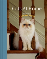 Buy Cats at Home