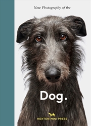 Buy New Photography of the Dog