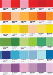 Buy Pantone Color Spectrum Flexi Journal