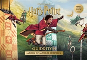 Buy Harry Potter: Quidditch [IEUK]