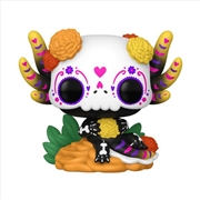 Buy Dia de Los Muertos - Axolotl GW Pop! Vinyl RS