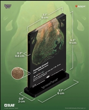 Buy Gatherers' Tavern SLAB Standee - Stomping Ground