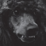 Buy Femmes Daffaires