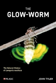 Buy The Glow-worm
