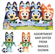 Buy Bluey Plush Soccer assorted (Sent At Random)