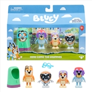 Buy Bluey Series 14 Figure 4 Pack (Grannies) assorted  (Sent At Random)