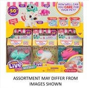 Buy Little Live Pets Lil' Needees Series 2 Single Pack assorted (Sent At Random)
