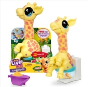 Buy Little Live Pets Gotta Go Giraffe