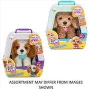 Buy Little Live Pets My Really Real Puppy assorted (Sent At Random)