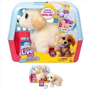 Buy Little Live Pets Ouchies Single Pack