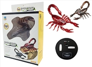 Buy Radio Control Scorpion