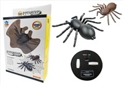 Buy Radio Control Spider Mini