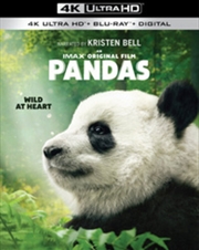 Buy Pandas