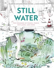 Buy Still Water