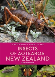 Buy A Naturalist Guide to the Insects of Aotearoa New Zealand
