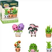 Buy Kawaii Plants - Mystery Pop! Vinyl Blind Box (Sent At Random)