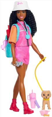Buy Barbie “Brooklyn” Outdoor Adventures Doll with Pet & Accessories