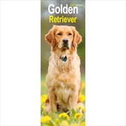 Buy Golden Retriever Slim Calendar 2027