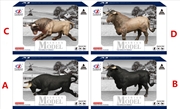 Buy Farm Animals Mighty Bull 4 assorted (Sent At Random)