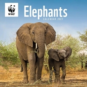 Buy WWF, Elephants Wall Calendar