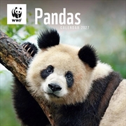 Buy WWF Pandas Wall Calendar