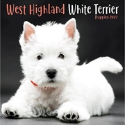 Buy West Highland White Terrier Puppies Mini Calendar