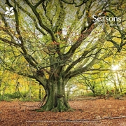 Buy Seasons, National Trust Wall Calendar