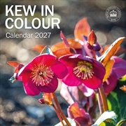 Buy Royal Botanic Gardens Kew, Kew in Colour Wall Calendar