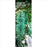 Buy Royal Botanic Gardens Kew in Colour Slim Calendar