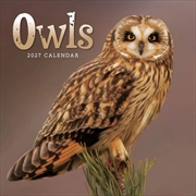 Buy Owls Mini Calendar